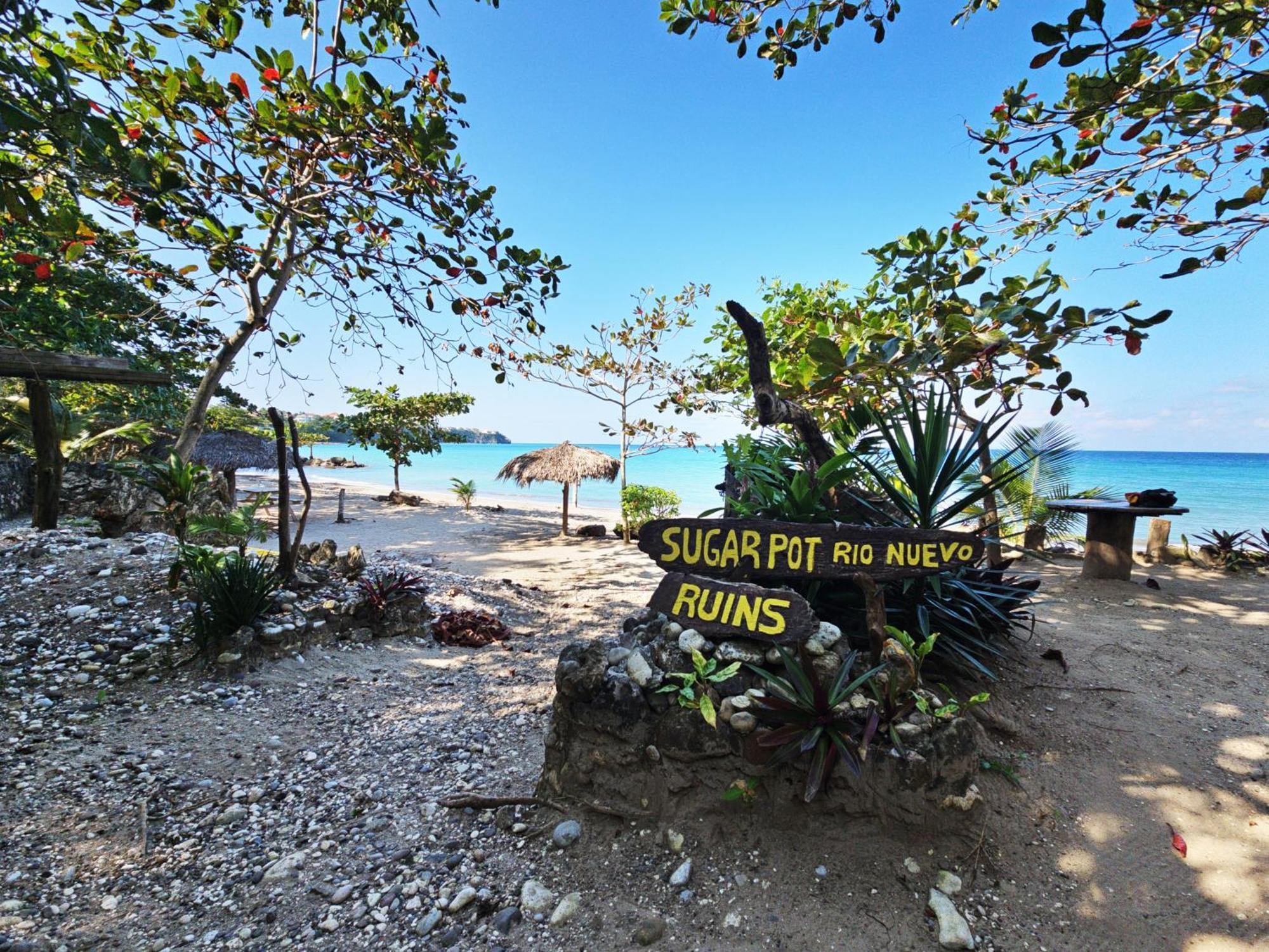 Chrisanns Paradise Suite By The Ocean - Apt#9 Ocho Rios Eksteriør billede