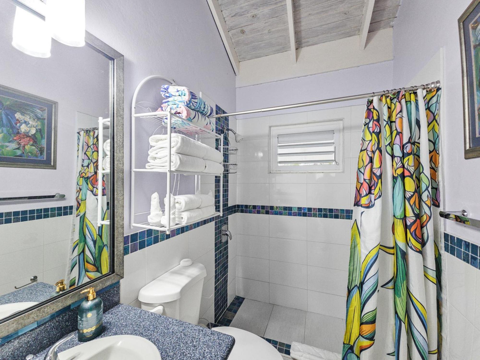 Chrisanns Paradise Suite By The Ocean - Apt#9 Ocho Rios Eksteriør billede